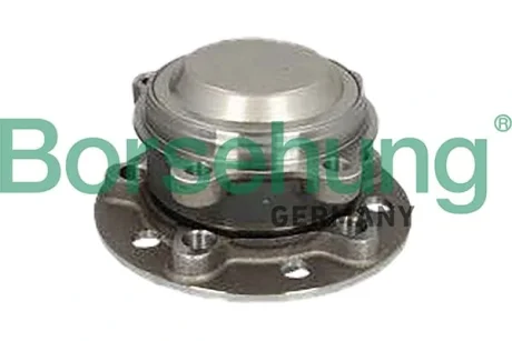 Комплект колісних підшипників Borsehung B11714 (фото 1)