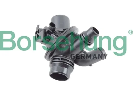 Термостат, охолоджувальна рідина Borsehung B10561