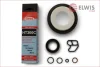 Комплект прокладок двигуна - нижній Elwis Royal 9556006 (фото 1)