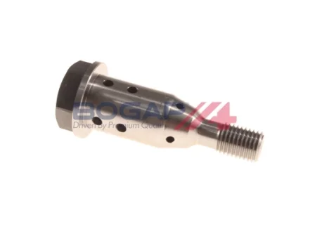 Фото 1 - клапан регулювання розподільного валу BOGAP L1338103 Клапан регулювання розподільного валу BOGAP L1338103 (фото 1)