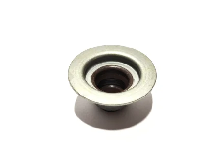 Сальник клапана Chery Amulet / Karry KLM KLM AutoParts 480-1007020