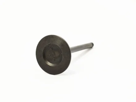 Клапан впускний 1,6 Geely MK KLM KLM AutoParts 1106018028