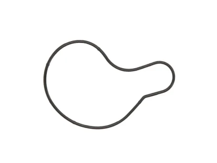 Фото 1 - прокладка насоса охолоджуючої рідини ATHENA S410485024016 Прокладка насоса охолоджуючої рідини ATHENA S410485024016 (фото 1)