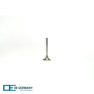 Впускний клапан (58x12x143мм) MAN E2000, F2000, HOCL, LION´S CITY, LION´S CLASSIC, NG, NL, NÜ VAN HOOL A E2866DF01-G2876DUH02 06.90- OE GERMANY 020520280000