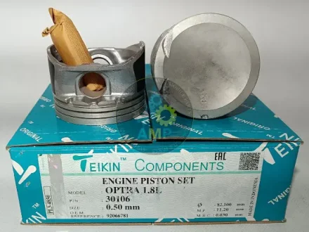 Поршні двигуна, комплект TEIKIN 30106050 (фото 1)