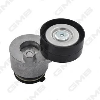 Ролик натяжной ремня генератора Renault Laguna/Trafic/Master/Duster/ Nissan Prim GMB GAT20200