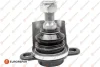 Опора кульова (передня/знизу) VW Sharan 95-10 Eurorepar 1634870580 (фото 1)