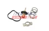 Термостат MB W176/Citan/ Renault Clio/Kangoo/Megane 1.5 D/dCI/Cdi 09- (83C) FAST FT58042 (фото 2)