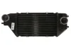 Інтеркулер HONDA CR-V II, FR-V 2.2D 02.05-12.09 THERMOTEC DA4002TT (фото 1)