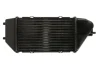 Інтеркулер HONDA CR-V II, FR-V 2.2D 02.05-12.09 THERMOTEC DA4002TT (фото 2)