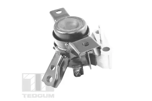 Підвіска двигуна TEDGUM TED13922 (фото 1)