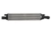 Впускний охолоджувач повітря THERMOTEC DAA030TT (фото 1)
