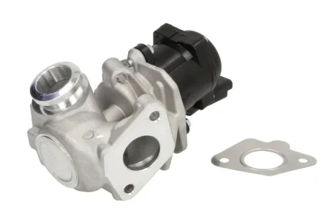 Клапан рециркуляції відпрацьованих газів Delphi EG10507-12B1