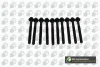 Комплект болтів з головкою системи TORX з чорного металу BGA BK3605 (фото 1)