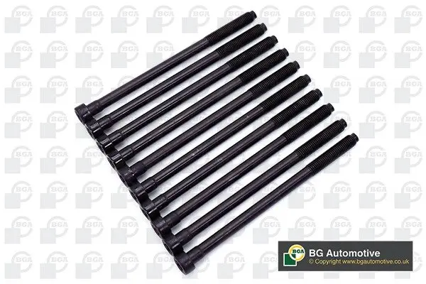 Комплект болтів з головкою системи TORX з чорного металу BGA BK2362 (фото 1)