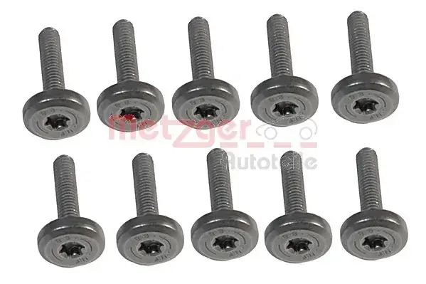Комплект болтів з головкою системи TORX з чорного металу METZGER 8029030 (фото 1)