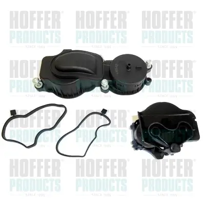 Фільтр очищення картерних газів Hoffer 8091601 (фото 1)